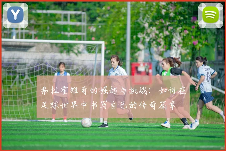 弗拉霍维奇的崛起与挑战：如何在足球世界中书写自己的传奇篇章
